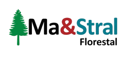 Ma&Stral